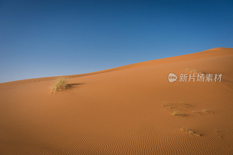 Erg Chebbi沙丘在摩洛哥撒哈拉沙漠日出